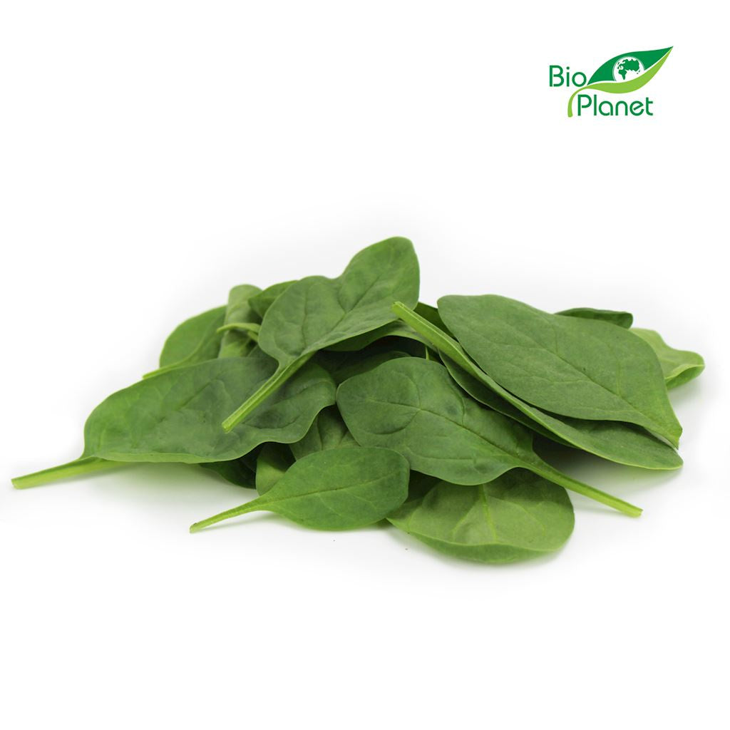 Szpinak Baby Świeży Niemyty BIO (Około 0,25 kg)