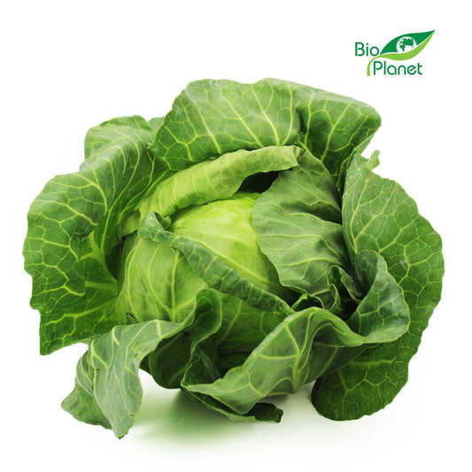 Kapusta Biała Młoda Świeża BIO (Polska) (Około 2,00 kg) (2 szt x 1 kg)